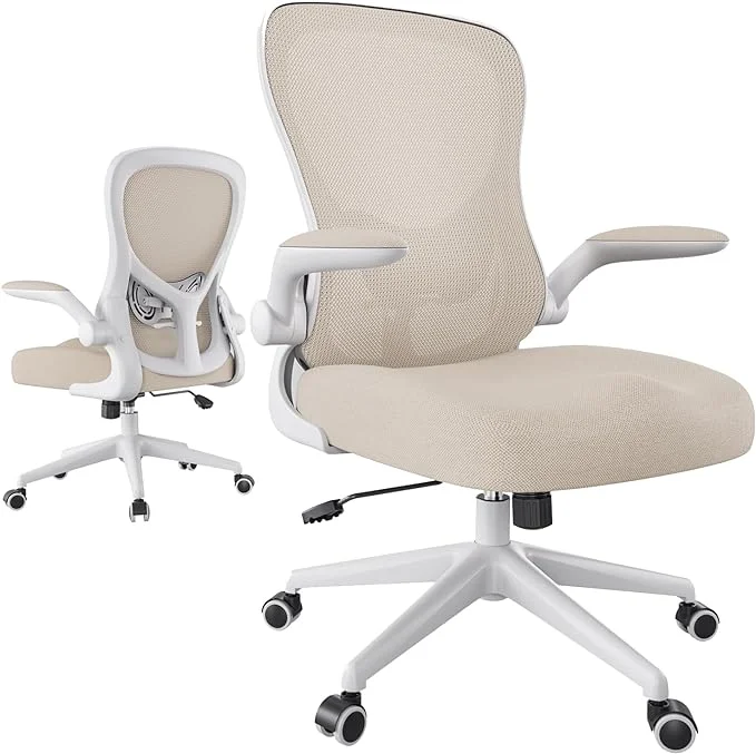 Hbada Ergonomic Desk Chair with Lumbar Support