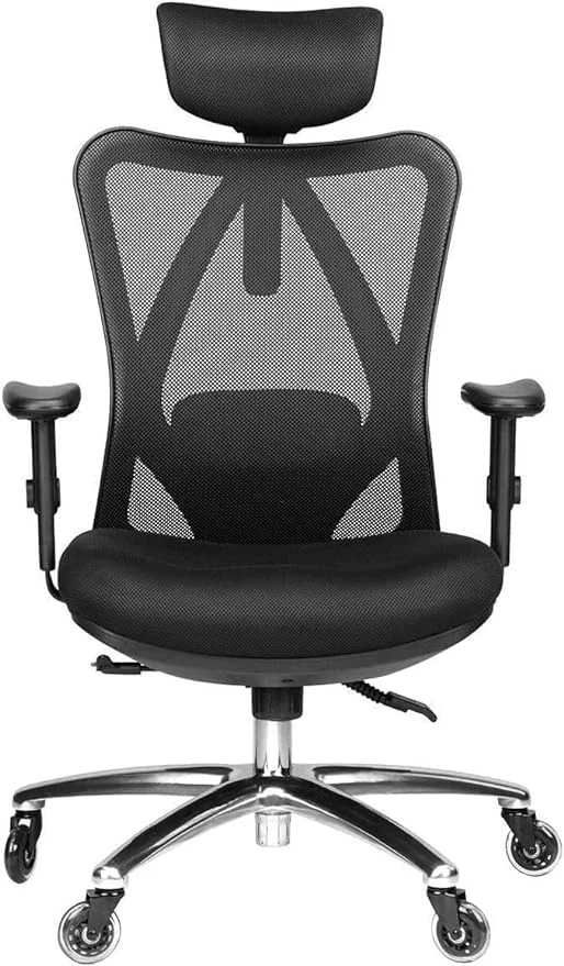 Duramont Ergonomic Office Chair 